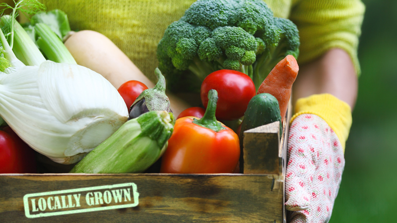 Vegetable Shares